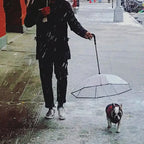 PetUmbrella™: Adiós al Paseo Mojado y al Mal Olor en Casa