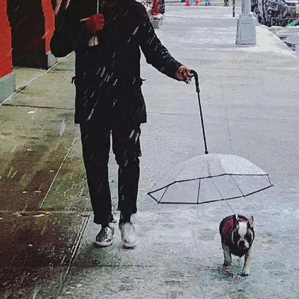 PetUmbrella™: Adiós al Paseo Mojado y al Mal Olor en Casa