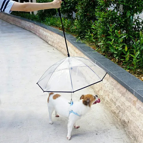 PetUmbrella™: Adiós al Paseo Mojado y al Mal Olor en Casa